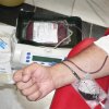 سازمان انتقال خون