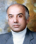 دکتر علیرضا بیرجندی