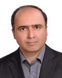 دکتر حمید طیرانی نیک نژاد