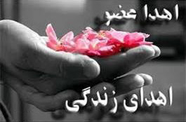 اهدا عضو اهدا زندگی