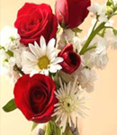 آقای دکتر جلیل آگنج