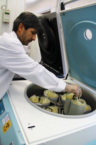 سازمان انتقال خون
