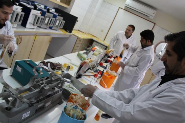 سازمان انتقال خون