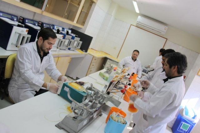 سازمان انتقال خون