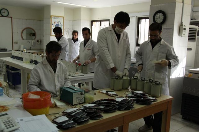 سازمان انتقال خون