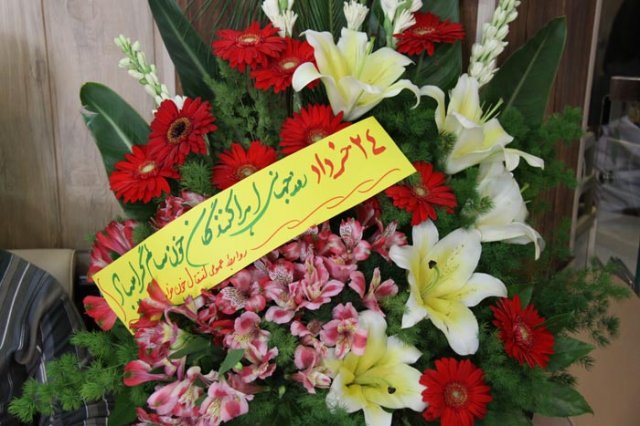 سازمان انتقال خون
