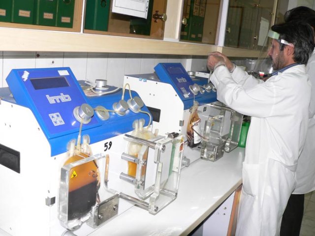 سازمان انتقال خون