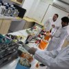 سازمان انتقال خون