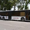 سازمان انتقال خون
