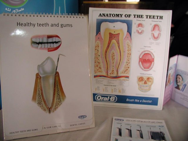 روز دندانپزشک سال 85