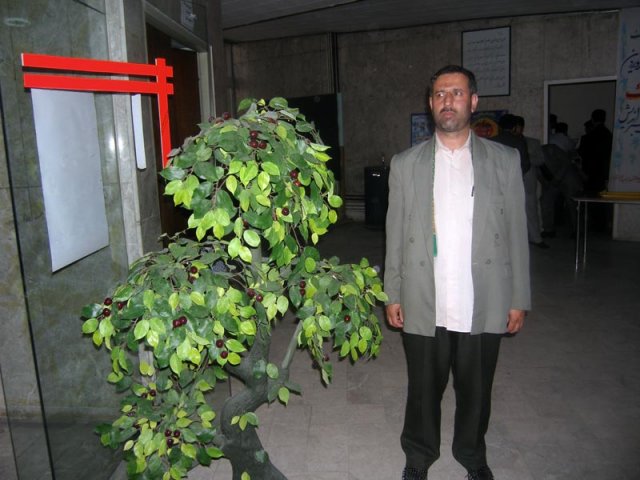 روز دندانپزشک سال86