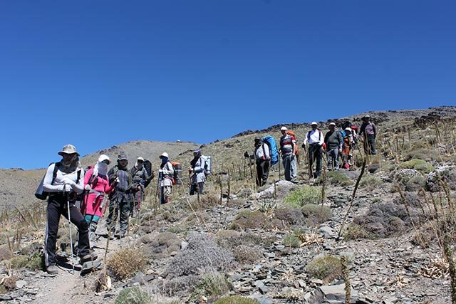 شیرباد