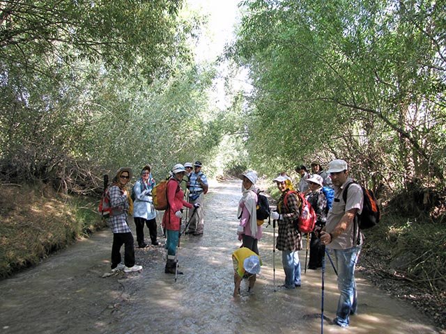 امرودک