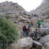 قله شیرکوه