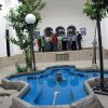 قله شیرکوه