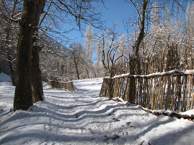 جاغرق کردینه
