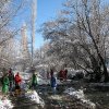 جاغرق کردینه