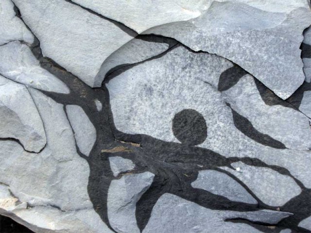 دره آبقد