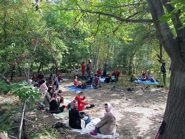 برنامه خانوادگی