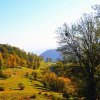 جنگل-توسکستان