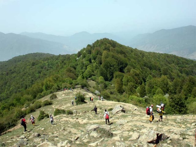 جنگل الیمستان
