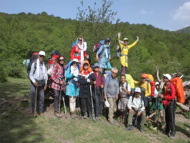 جنگل الیمستان